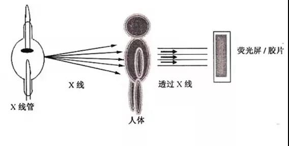 微信图片_20211029100629.jpg