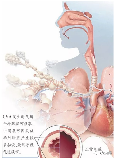 微信图片_20210224133231.png