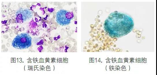 微信图片_20210430150823.jpg