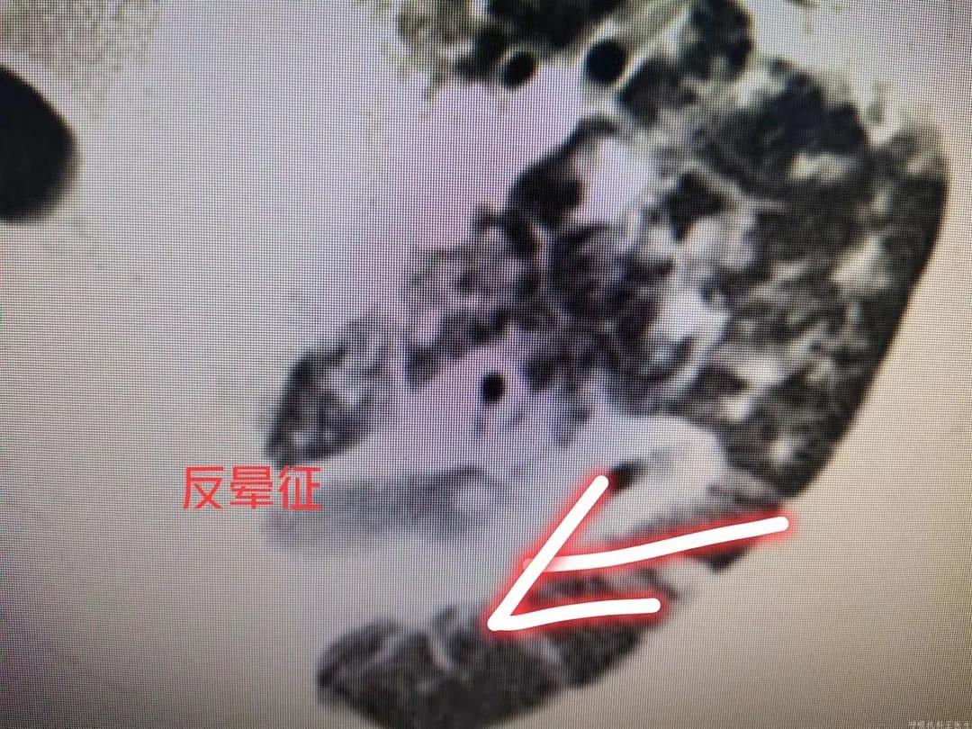 微信图片_20211029135731.jpg