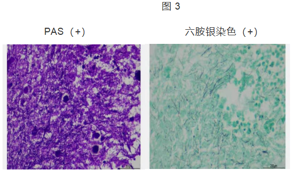 微信图片_20210804152214.png