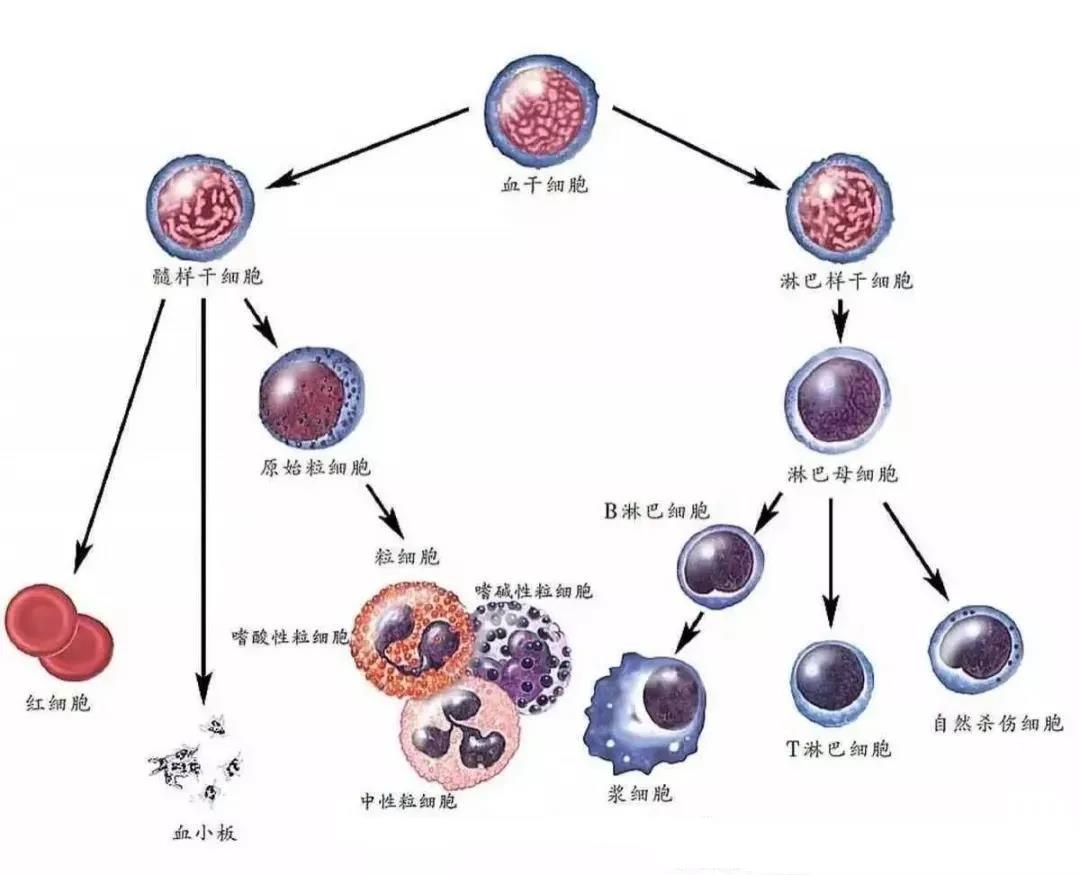 微信图片_20211027145158.jpg