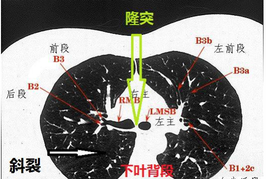 微信图片_20210701164413.png