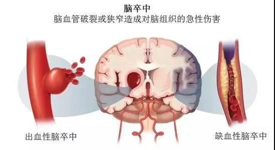 微信图片_20220217152724.jpg