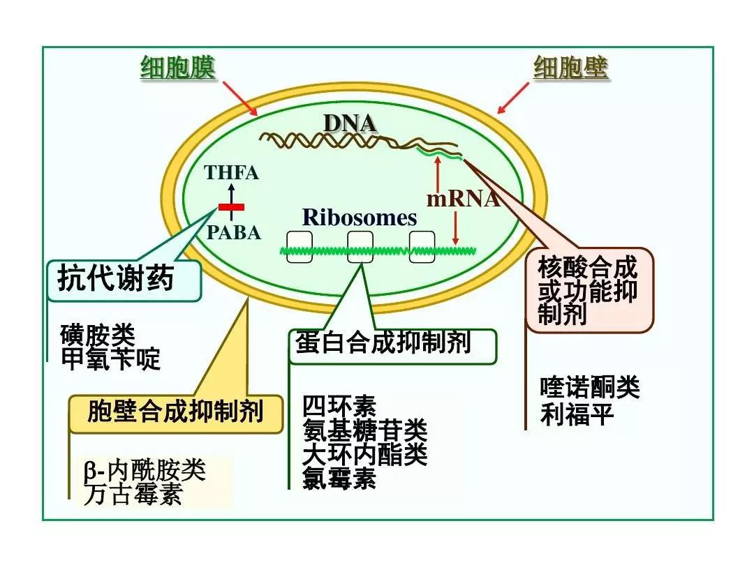 微信图片_20210226172740.jpg