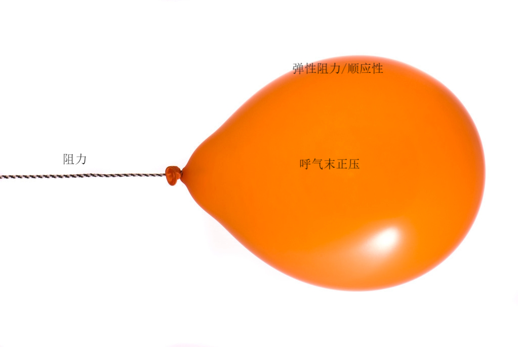 2.1.png