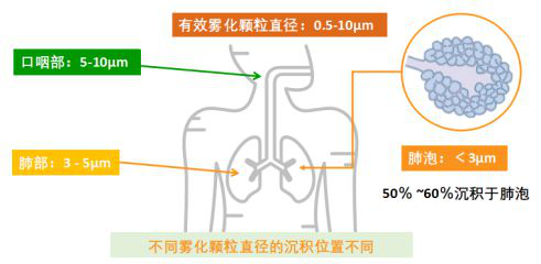 微信图片_20210511142557.png