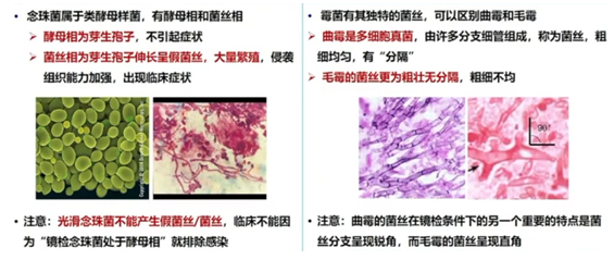 微信图片_20211112151656.png