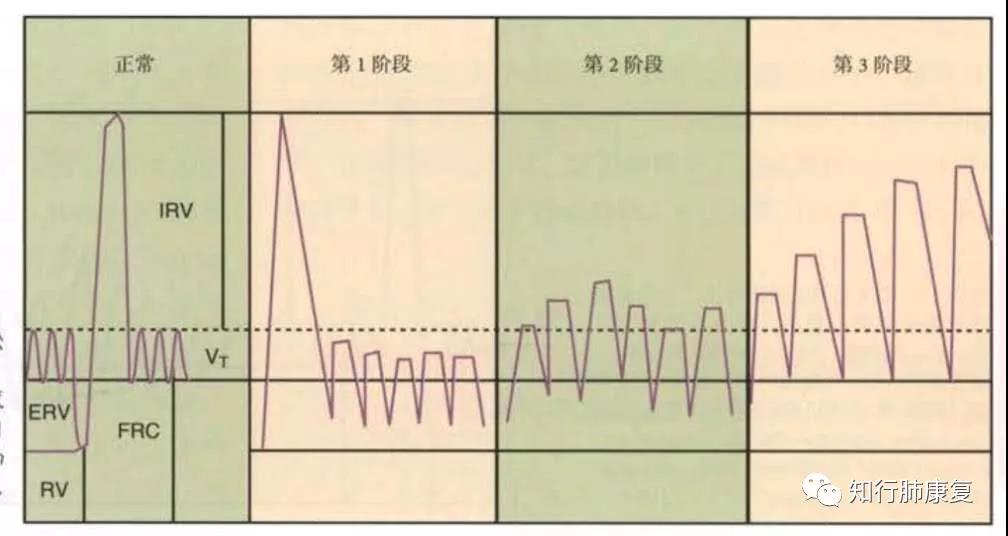 微信图片_20210301105816.jpg