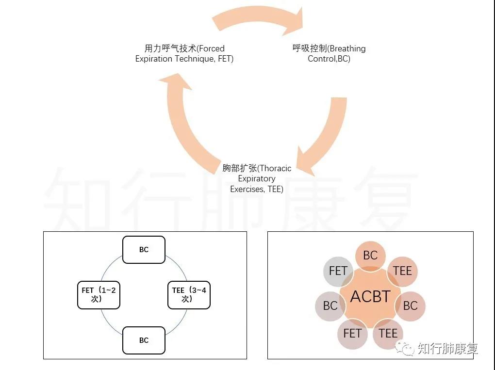 氣道廓清技術的比較