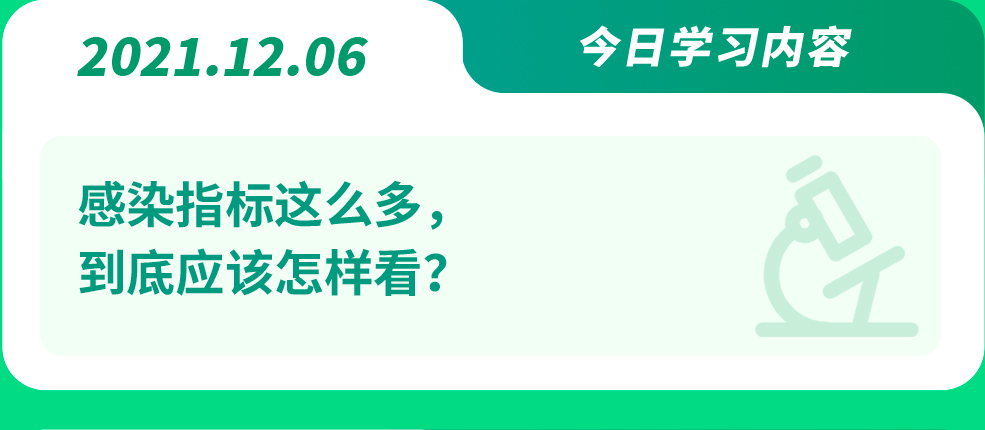 12.06.jpg