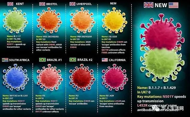 世界十大恐怖病毒排名图片