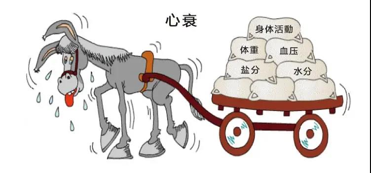 微信图片_20211224133323.jpg