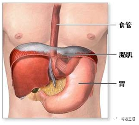 微信图片_20210818140804.png