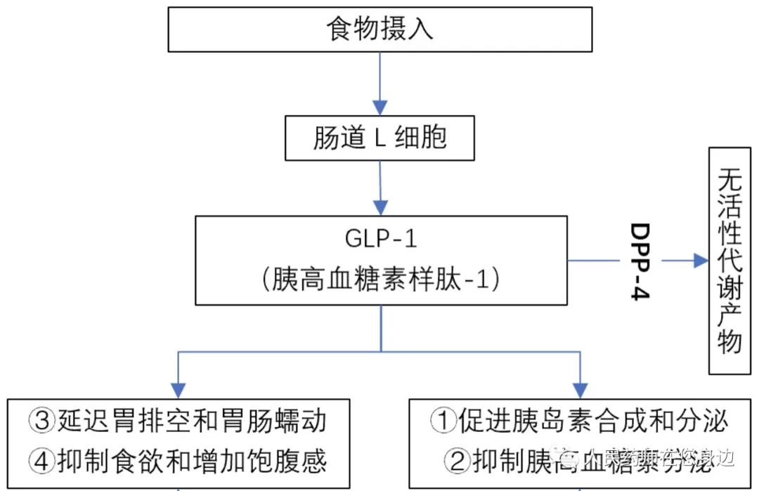 药学笔记