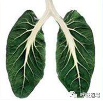 微信图片_20210224152147.png
