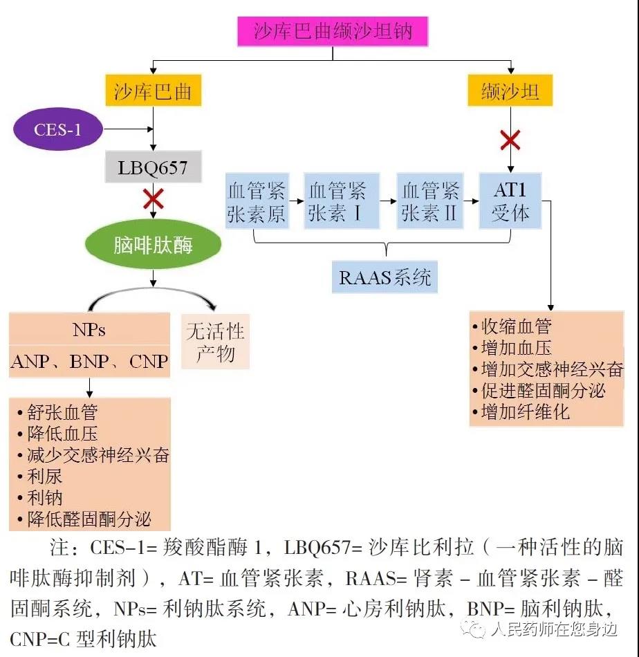 微信图片_20210918112607.jpg