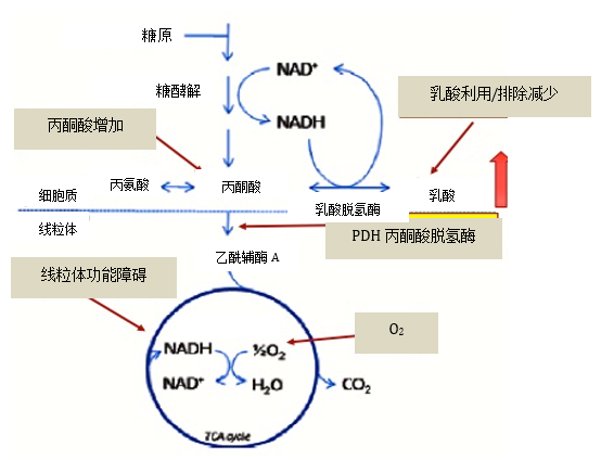 微信图片_20210422135316.png