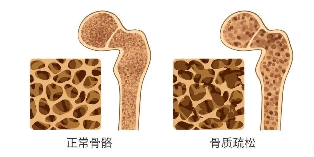 微信图片_20211129130924.jpg
