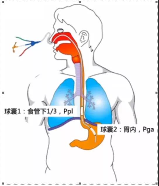 微信图片_20211012105020.jpg