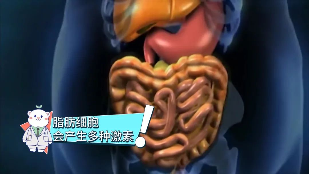 微信图片_20210615140440.jpg