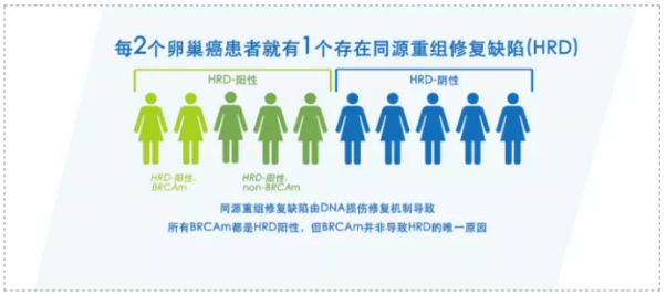 微信图片_20210714105153.png
