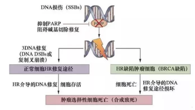 微信图片_20210714105157.png