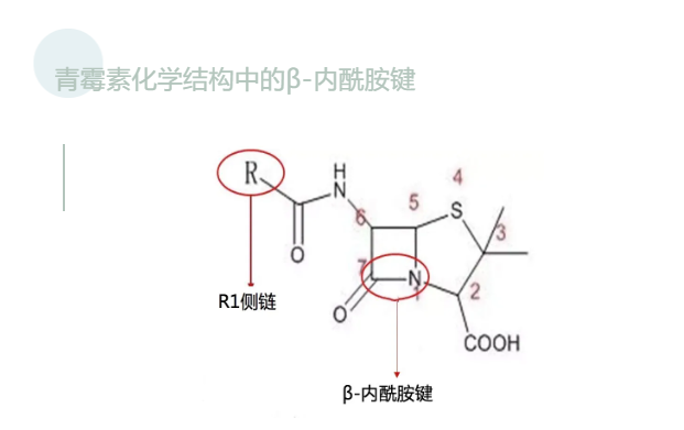 微信图片_20210915131926.png