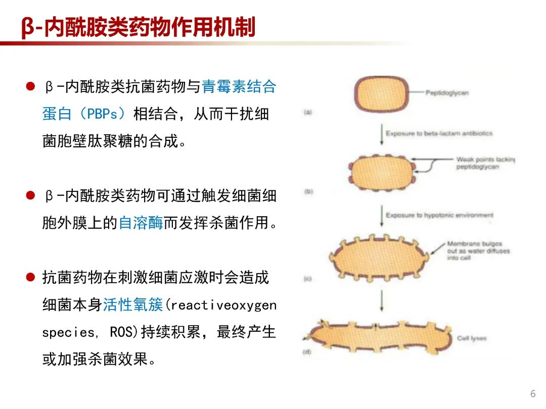 微信图片_20220318161755.jpg