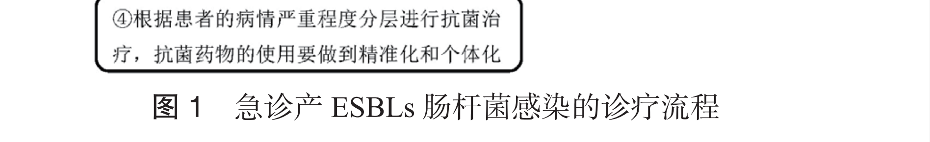 15.png