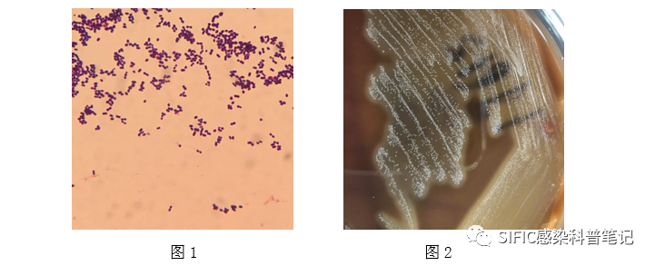 微信图片_20220818145544.png