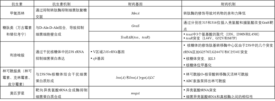 微信图片_20221226142805.png