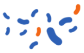 6.png