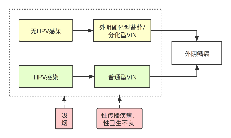 发病途径.png