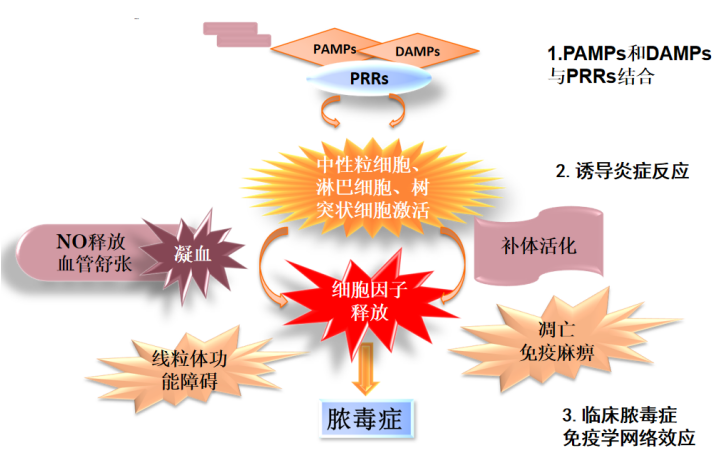 微信图片_20220809064035.png