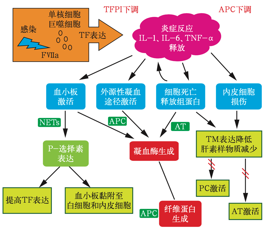 微信图片_20221026160814.png