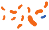 10.png