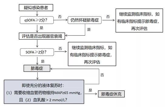 脓毒症患者液体复苏策略