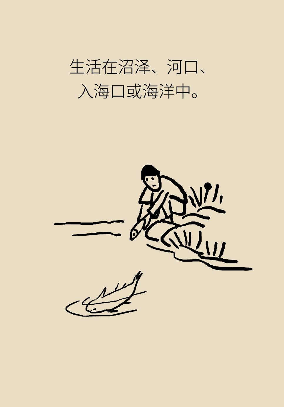 16.png