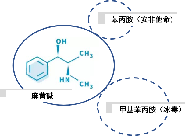 微信图片_20220914150304.png