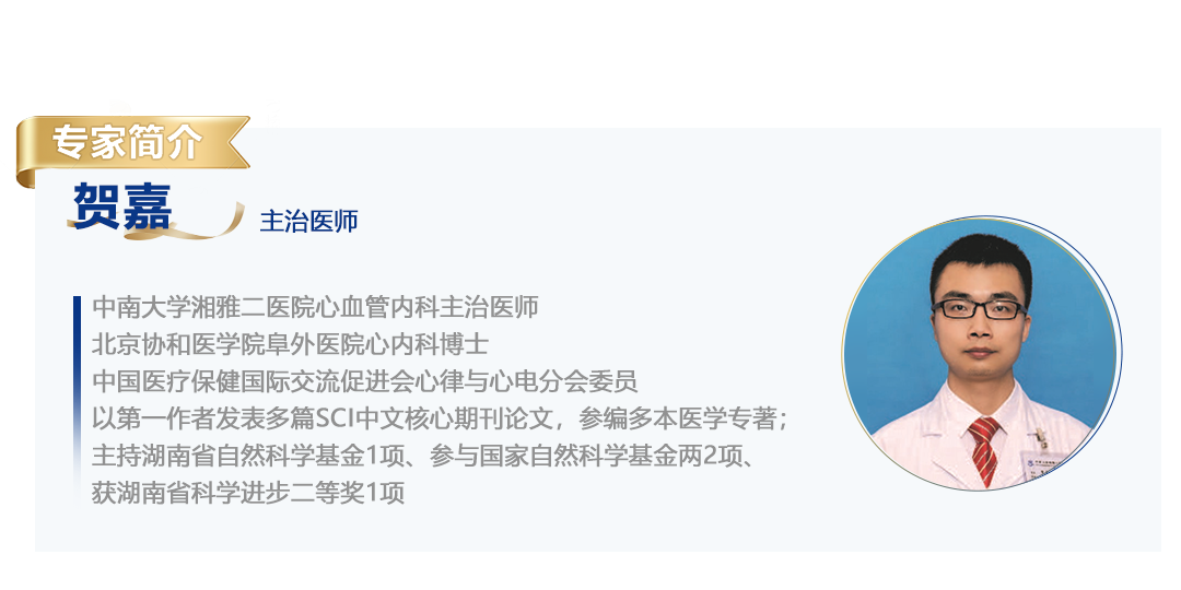 贺嘉简介.png