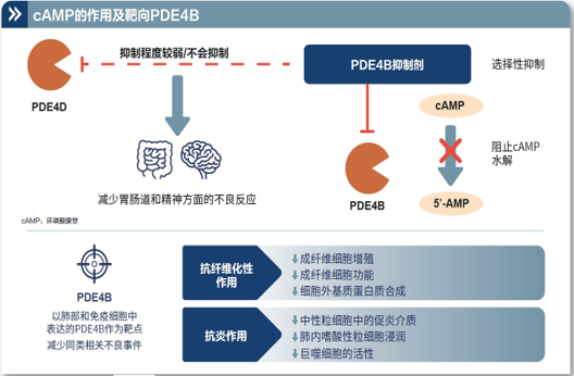 图6.jpg