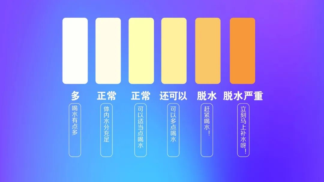 微信图片_20220824164447.jpg