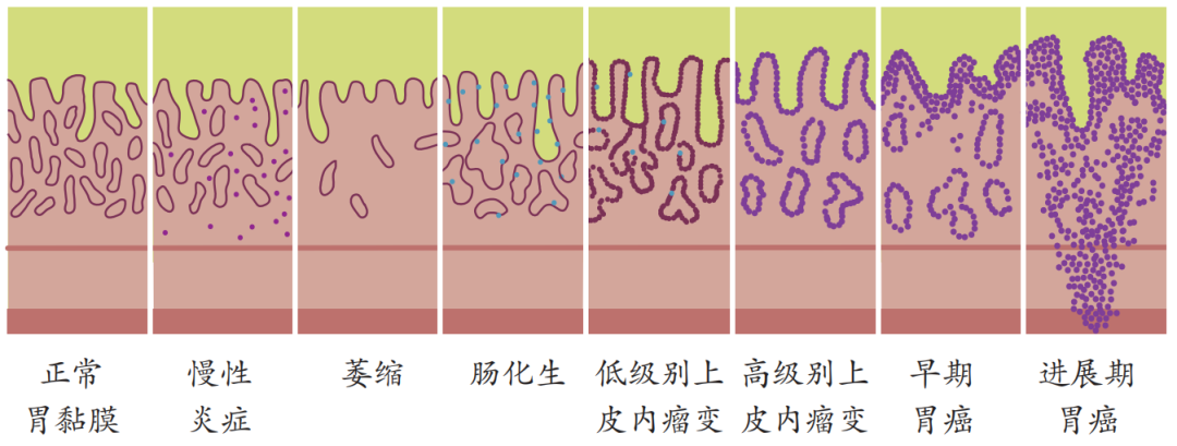 微信图片_20220802131135.png