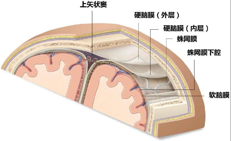 微信图片_20220124152104.jpg
