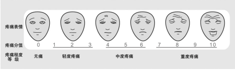 22.png