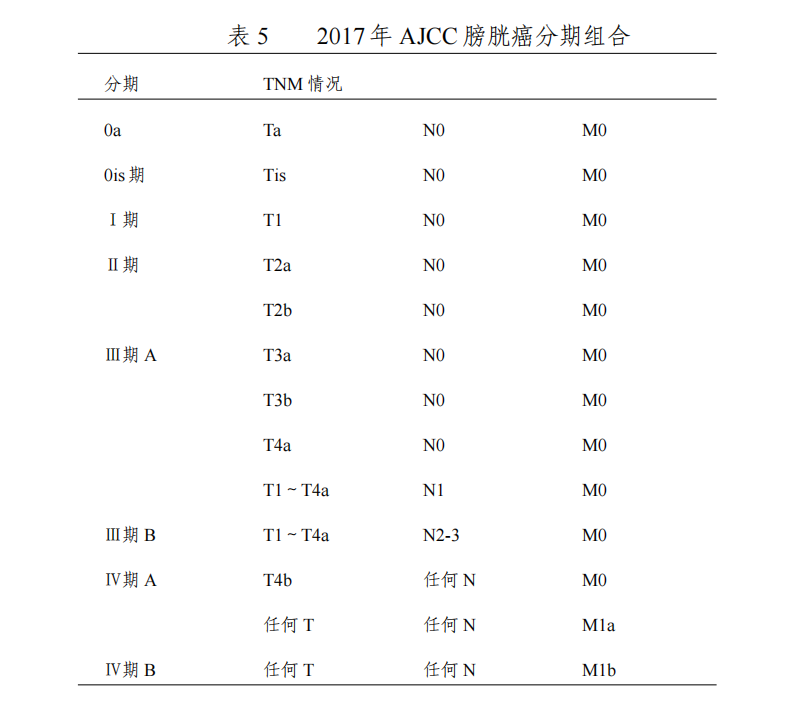 膀胱癌tnm分期标准图片