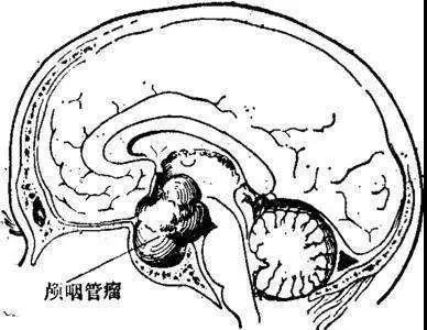 微信图片_20220126161620.jpg