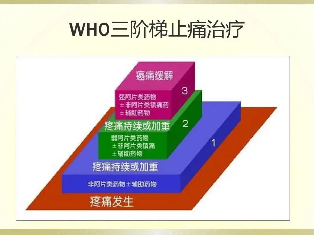 微信图片_20220221161745.jpg