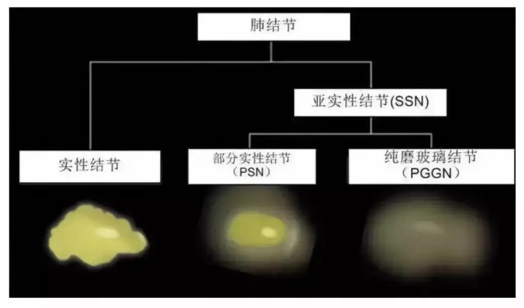 微信图片_20211221100514.jpg